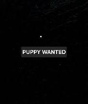Wanted: Puppy for a loving home