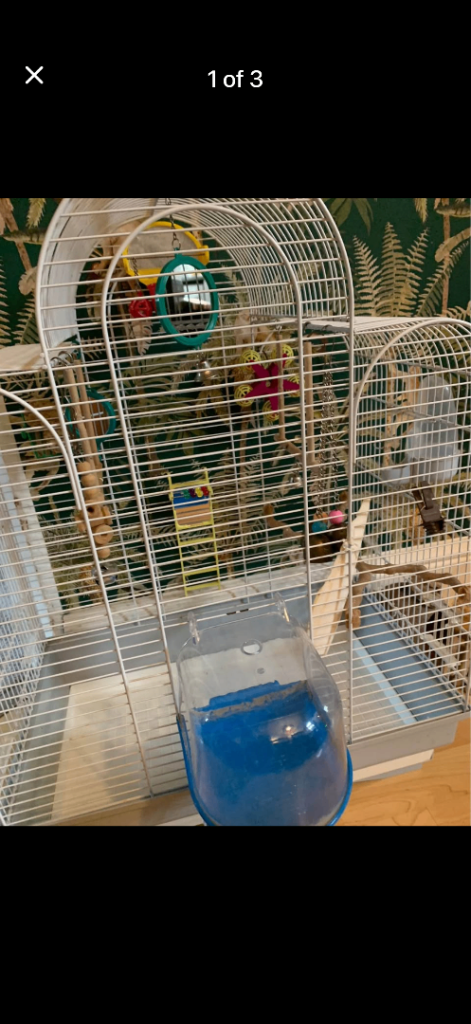 Budges cage 
