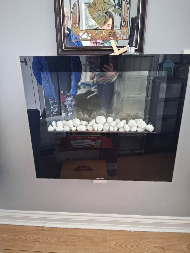 Electric wall mounted fire