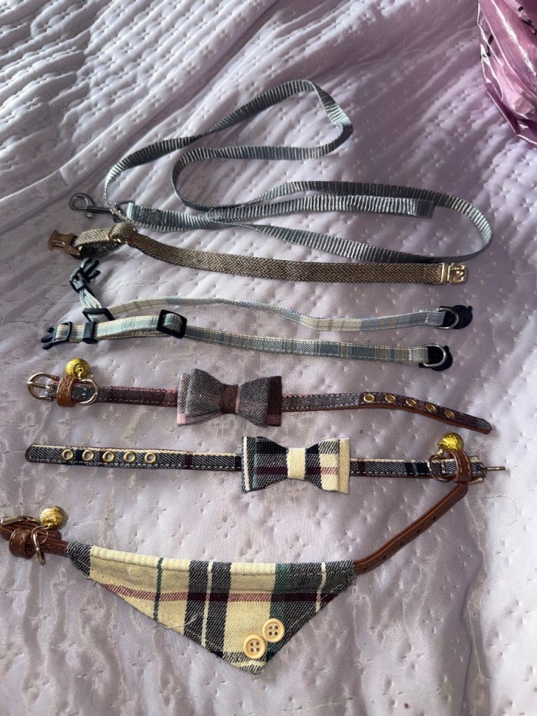 New collars 