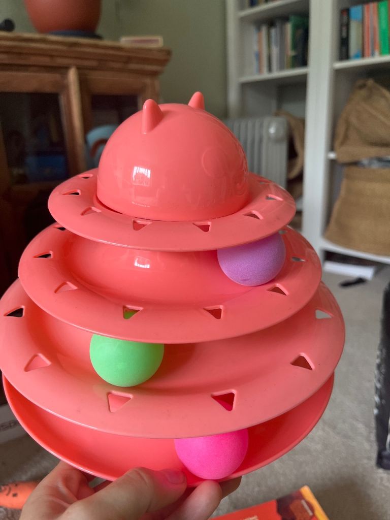 Cat kitten toys 
