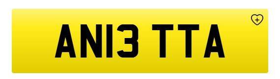 AN13 TTA – Personalised Private Registration Number Plate