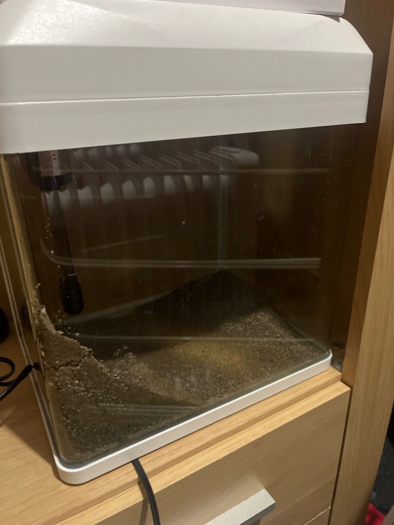 Hugo kimishi fish tank