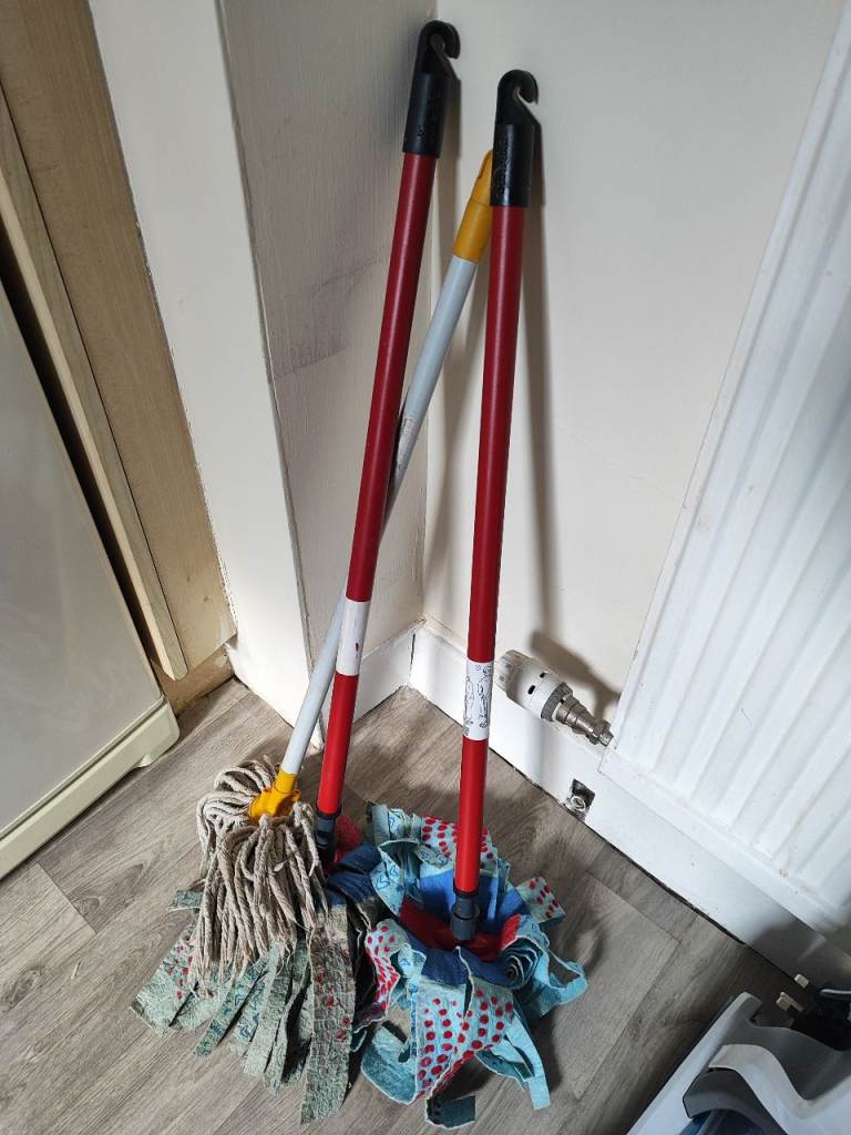3 Mops for Free