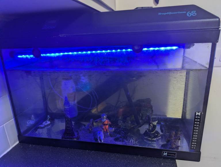 Complete 50 Litre Fish Tank Aquarium Setup – Includes Filter, Light, 2 Plecos & 3kg Food