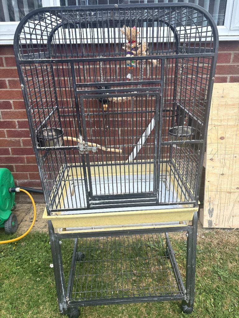 Bird cage 