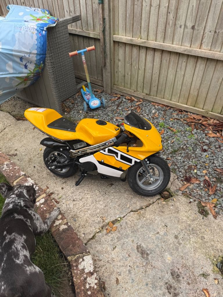 Mini dirt bike
