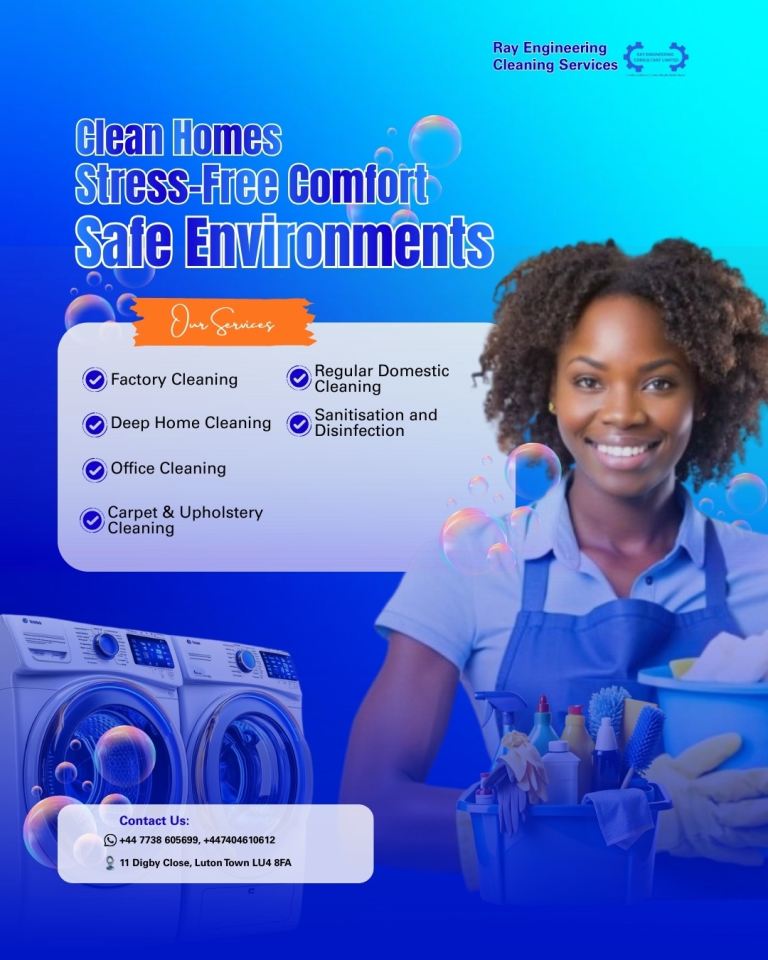 RayEngineering Cleaning Services 