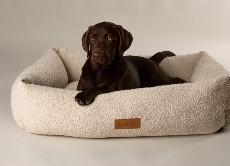 good dog bed