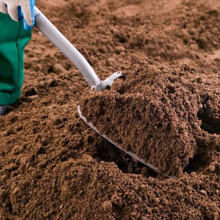 Topsoil - Needed ££