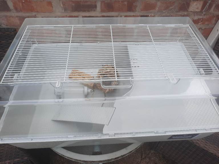 Hamster rodent cage