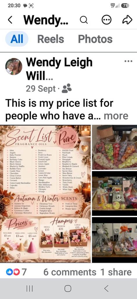 Wax melts hampers 