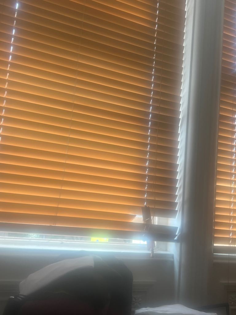 Help! Two broken wooden window slats! 