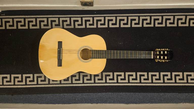 ELEVATION Guitar Model Number  540/6441(D)