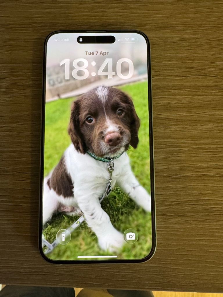 Apple iPhone 15 plus