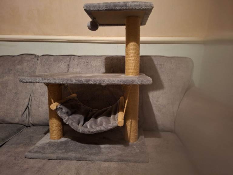 Cat Tree and Bowls 