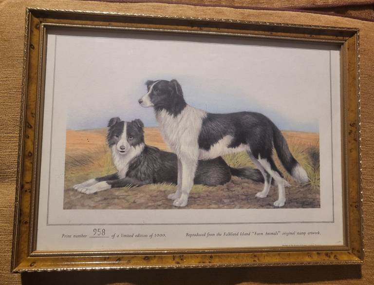 image for 958/1000 limited edition Falkland Farm Animals - Robert Ferrier - stamp artwork