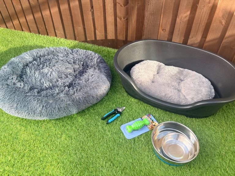 Dog beds & accessories