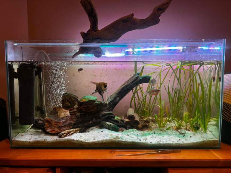 Glass Aquarium Fish Tank with Gravel and Decorations