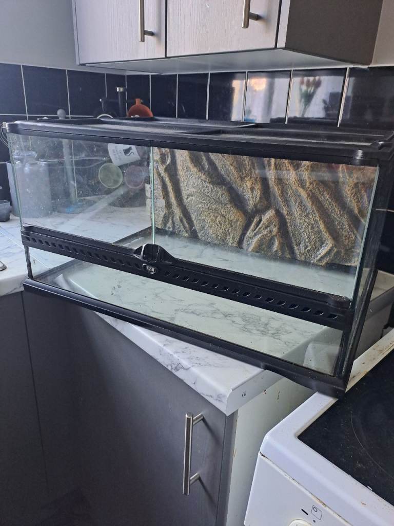 Extra large solid glass exo terra terrarium/enclosure with background