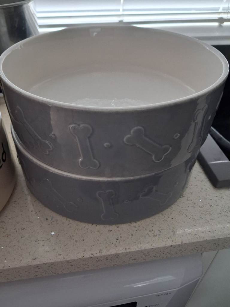 LARGE DOG BOWLS