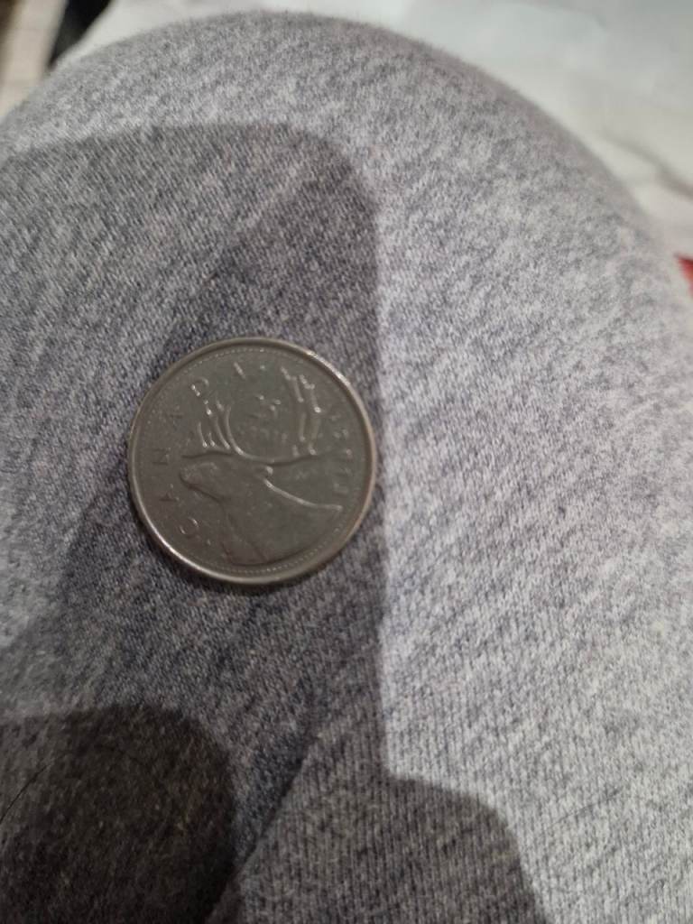 Canadian Quarter Coin - Good Condition