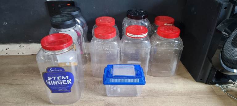 Tarantula enclosures tank