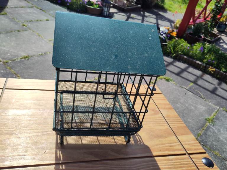 Bird Feeder (for ground feeders)