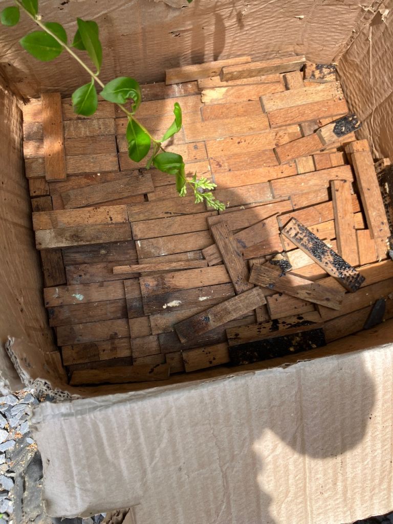 Wood flooring 