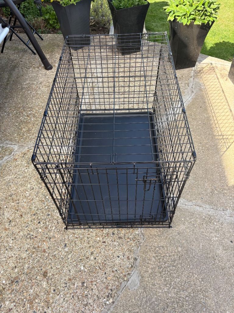 Medium folding dog crate 