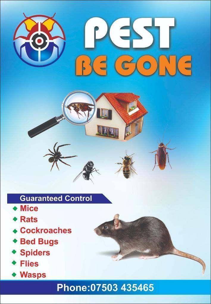 Pest control 24/7 any day any time Rat mice bedbugs cockroaches mouse.
