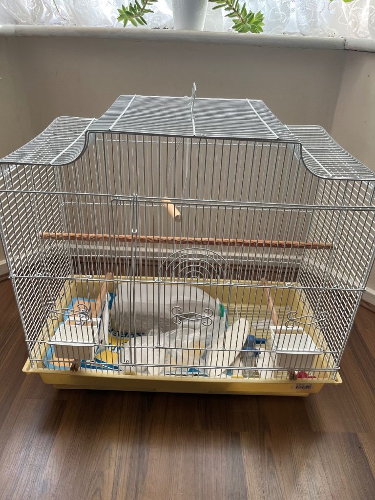 Large bird cage