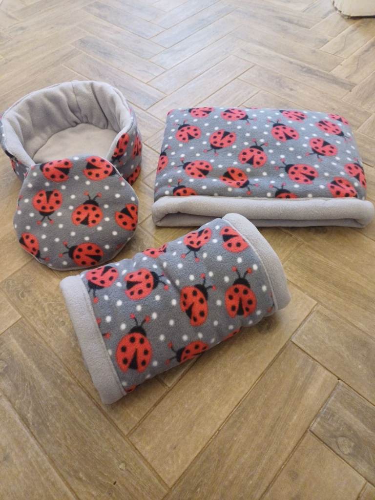 Guinea pig, snuggle set 