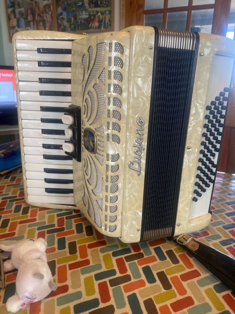 Piano accordion 