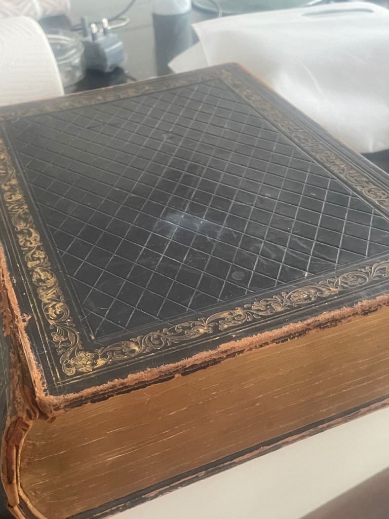 Cassels illustrated family bible (1897)