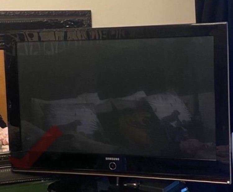 42 inch Samsung plasma tv