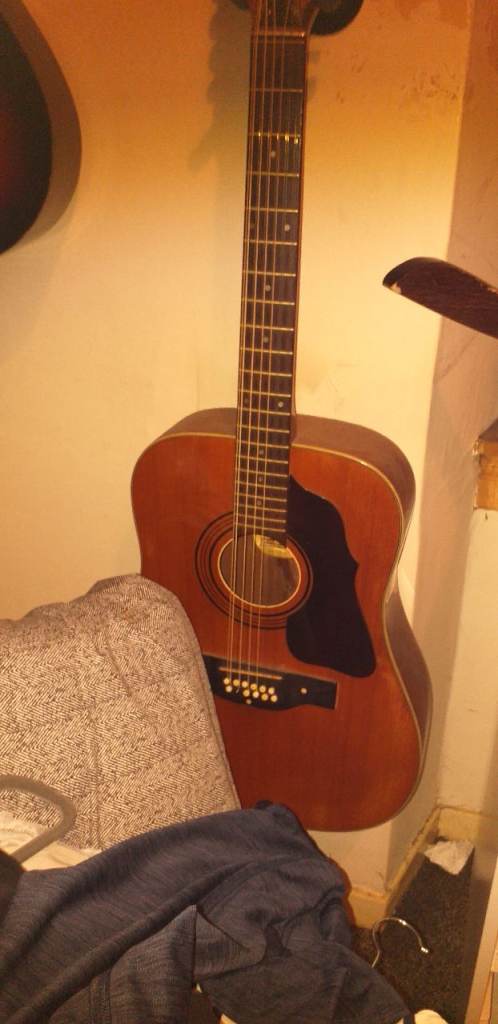 12 string shaftsberry