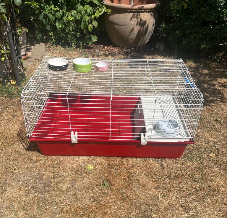 Guinea Pig / Rabbit Cage