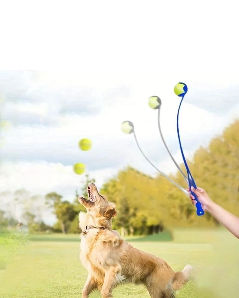 Dog Ball Launcher Tennis Ball Launcher Ball Thrower Stick Interactive Pet Toy