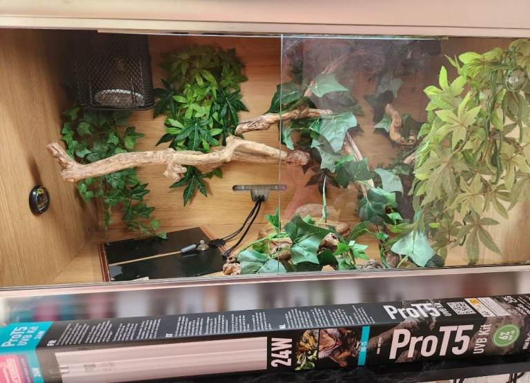 Reptile vivarium 3ft