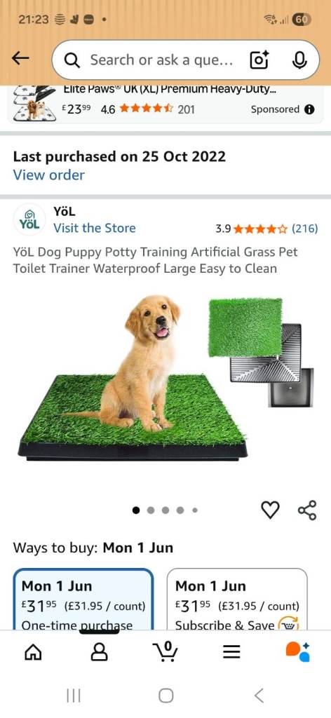 Puppy training artificial grass