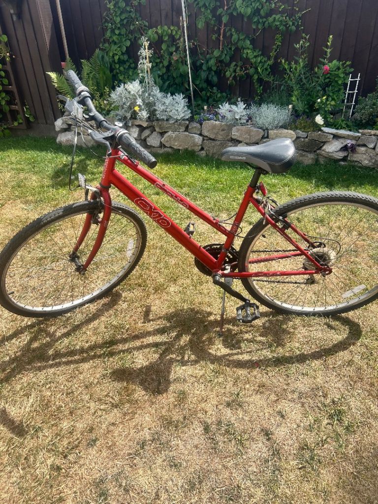 Free bike 