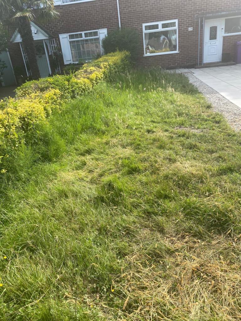 Outdoor garden maintenance 