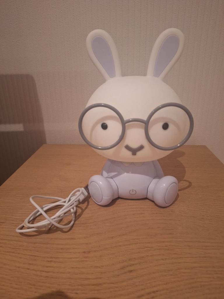 Bunny Rabbit With Glasses USB Night Light Lamp 