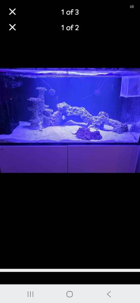 Full marine fish tank setup 
