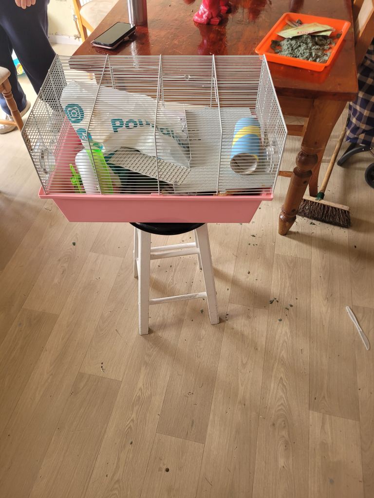 Hamster cage with accessories 