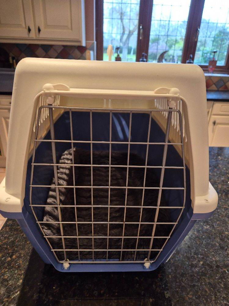 Pet carrier,with cushion as new collection only