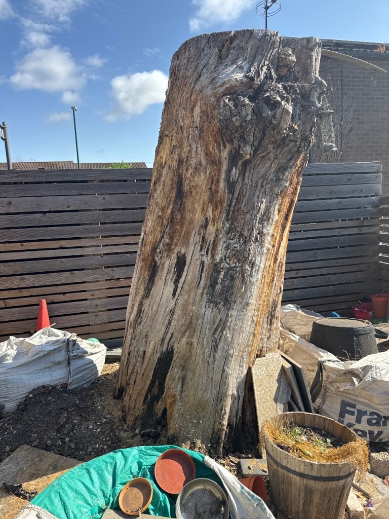 Free fire wood/logs for fire 