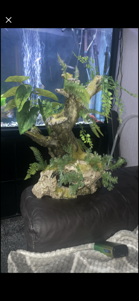 Fish tank centre piece 