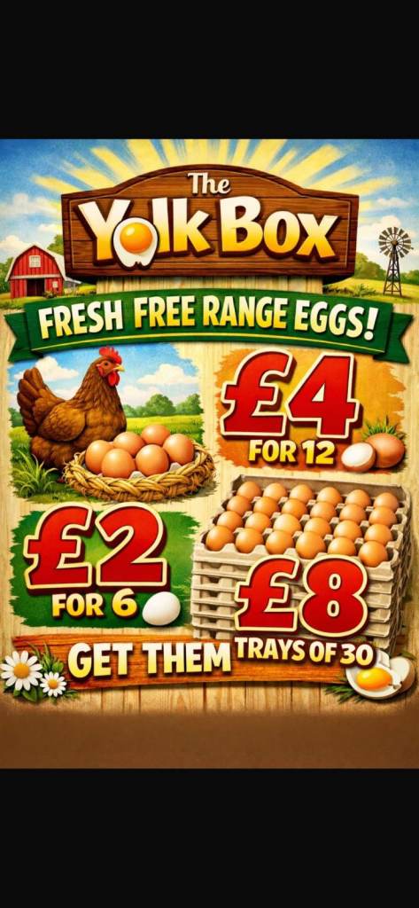 Free range eggs